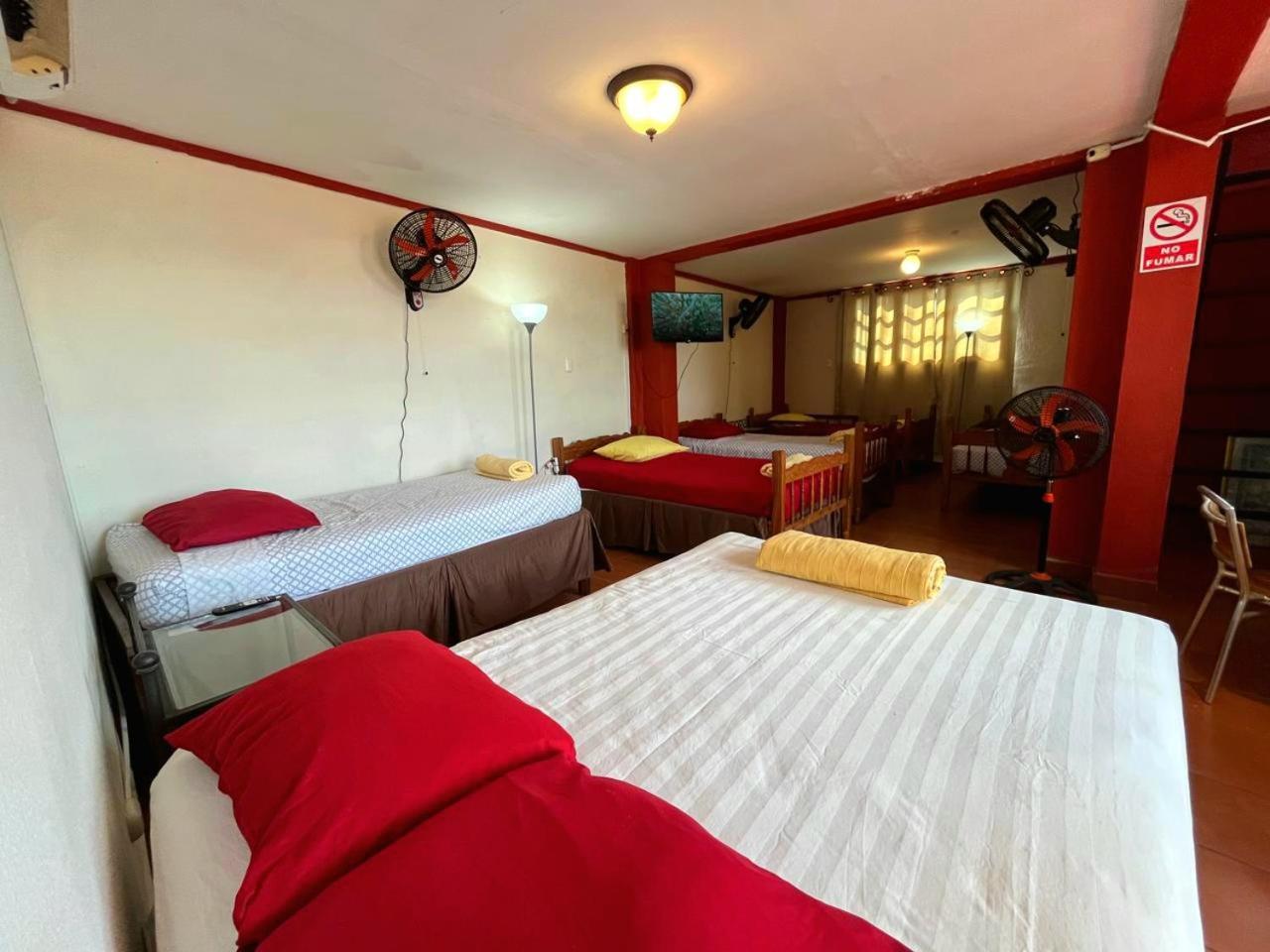 Hostal Lolita'S Boutique Granada Zewnętrze zdjęcie